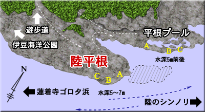 陸平根