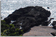 全景