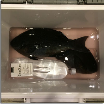 釣果